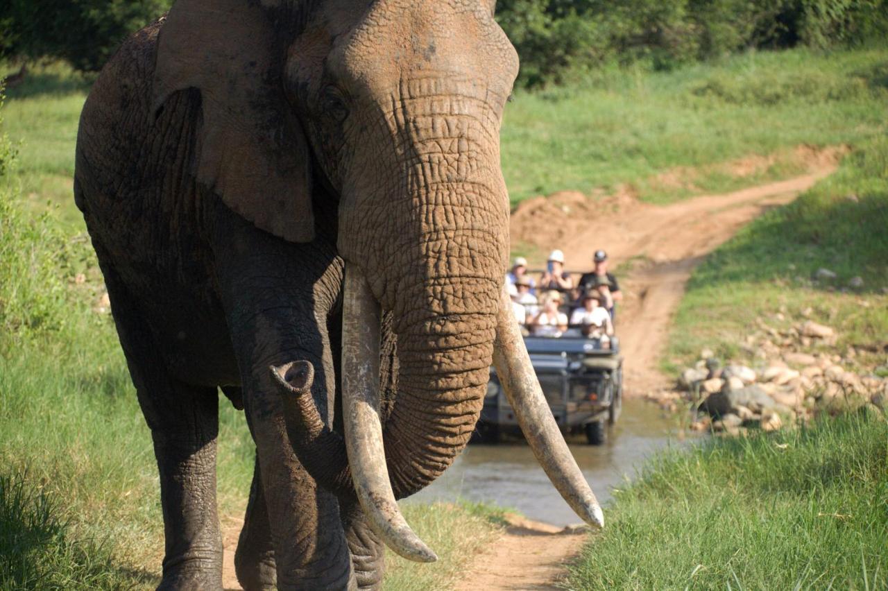 คูนาเม ลอดจ์ Villa Karongwe Game Reserve ภายนอก รูปภาพ