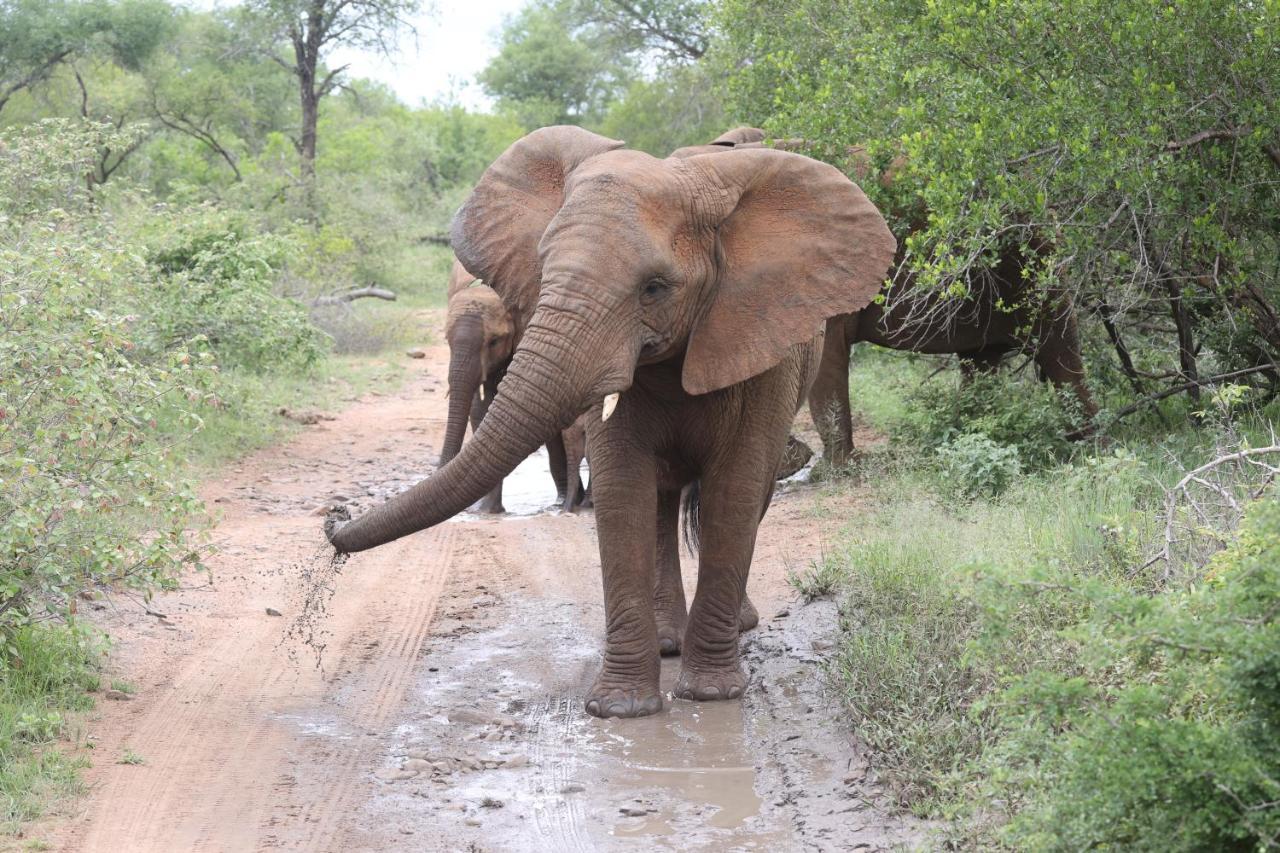คูนาเม ลอดจ์ Villa Karongwe Game Reserve ภายนอก รูปภาพ