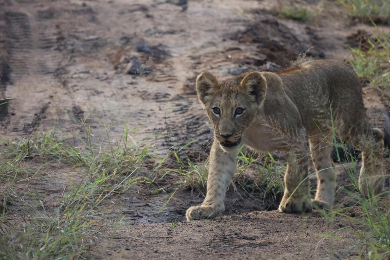 คูนาเม ลอดจ์ Villa Karongwe Game Reserve ภายนอก รูปภาพ