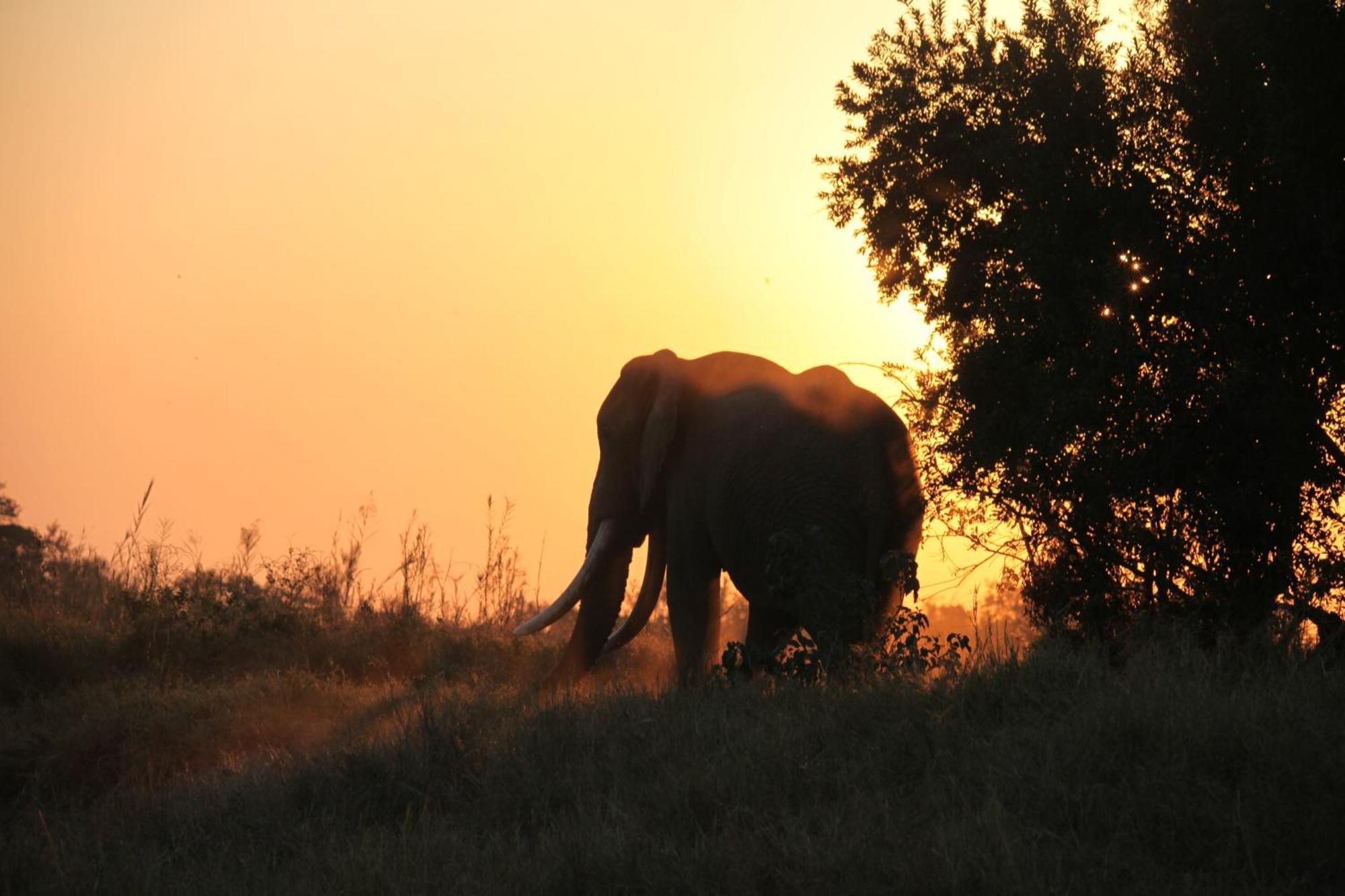 คูนาเม ลอดจ์ Villa Karongwe Game Reserve ภายนอก รูปภาพ
