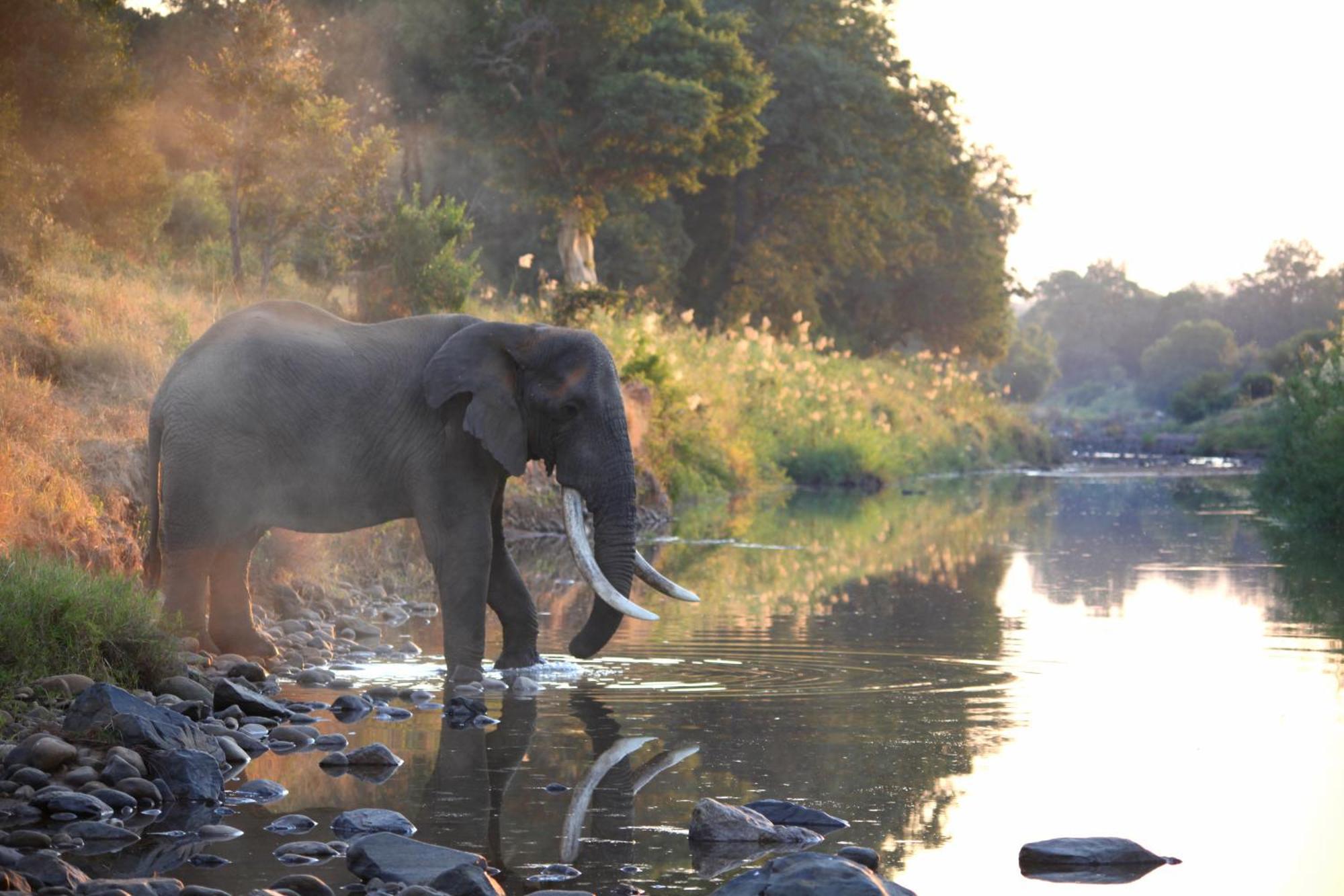 คูนาเม ลอดจ์ Villa Karongwe Game Reserve ภายนอก รูปภาพ