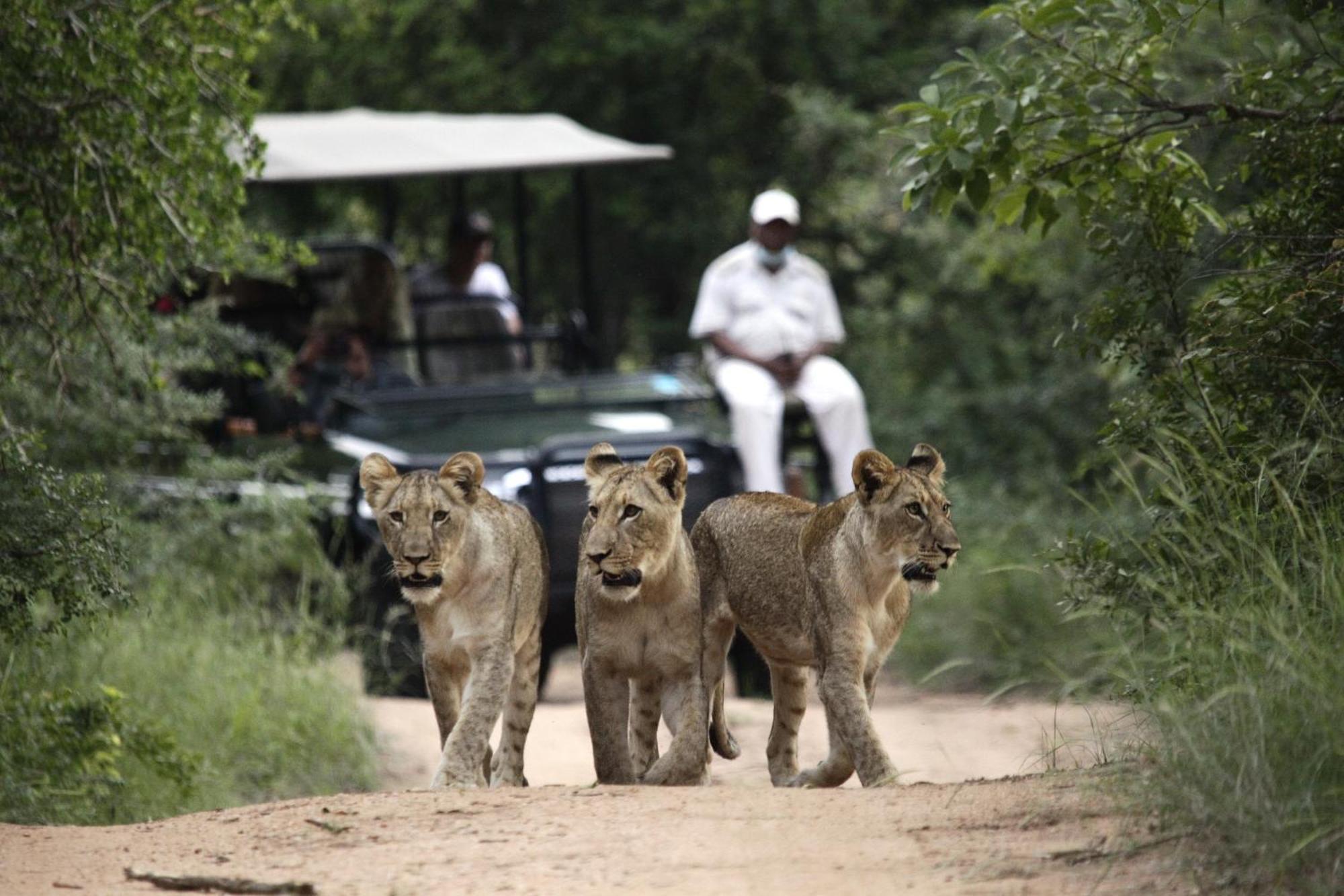 คูนาเม ลอดจ์ Villa Karongwe Game Reserve ภายนอก รูปภาพ